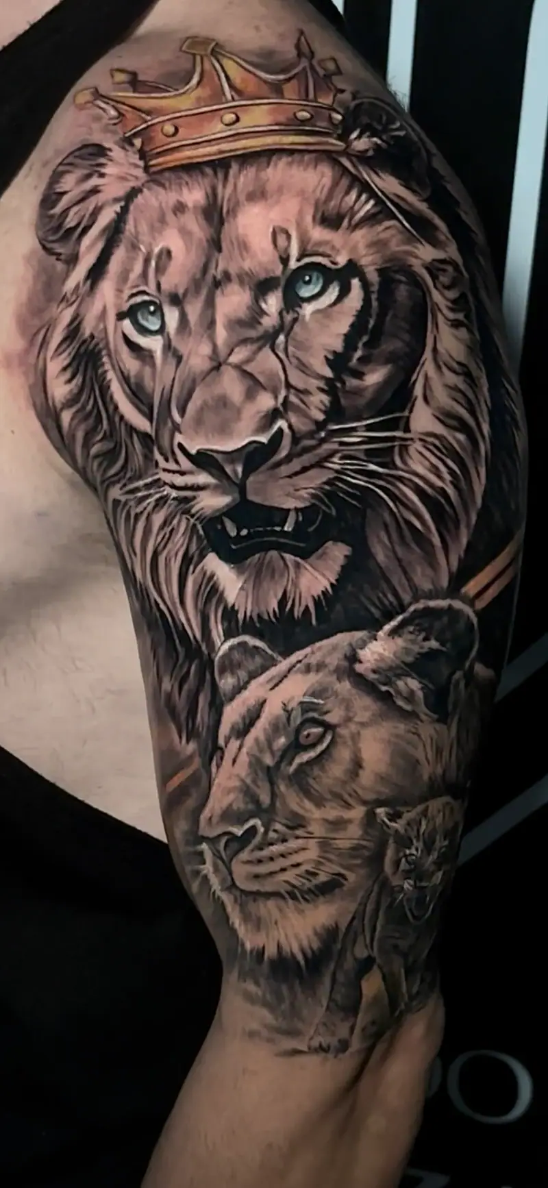 Tatuaje realista de una familia de leones con corona, en hombro y brazo